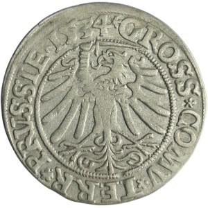 Sigismund I the Old, Groschen Thorn 1534 - PRVSSI/PRVSSIE