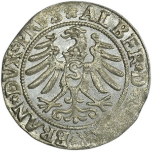 Duchy of Prussia, Albert Hohenzollern, Groschen Königsberg 1532 - PRVS