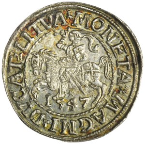 Sigismund II August, 1/2 Groschen Vilnius 1548 - LI/LITVA - ex. Zbichorski