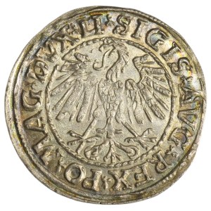 Sigismund II August, 1/2 Groschen Vilnius 1548 - LI/LITVA - ex. Zbichorski