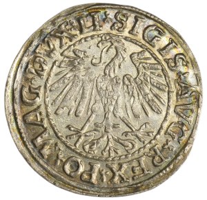 Sigismund II August, 1/2 Groschen Vilnius 1548 - LI/LITVA - ex. Zbichorski