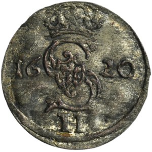 Zygmunt III Waza, Dwudenar Wilno 1620 - ex. Zbichorski