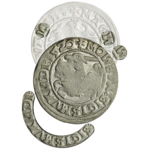 Zygmunt I Stary, Półgrosz Wilno 1520 - błąd SIGIMVAИDI