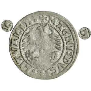 Zygmunt I Stary, Półgrosz Wilno 1520 - błąd SIGIMVAИDI