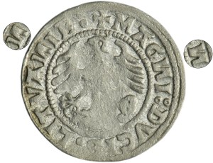 Sigismund I the Old, Halfgroat Vilnius 1520 - error SIGIMVAИDI