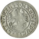 Zygmunt I Stary, Półgrosz Wilno 1520 - błąd SIGIMVAИDI