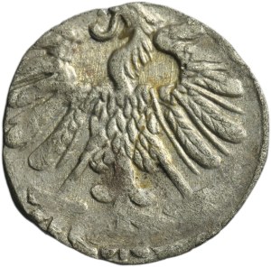 Sigismund II August, Denarius Vilnius 1551 - VERY RARE