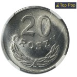 Zobacz podobne