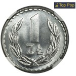Zobacz podobne