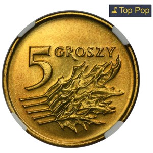 5 groszy 1999 - NGC MS69