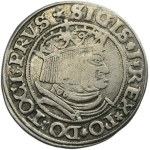 Sigismund I the Old, Groschen Thorn 1532 - PRVS/PRVSSI - RARE