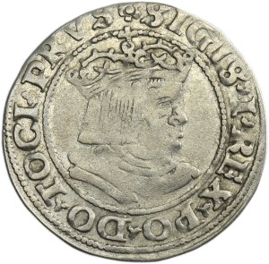 Sigismund I the Old, Groschen Thorn 1530 - PRVS/PRVS