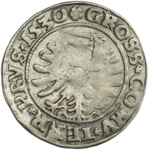 Sigismund I the Old, Groschen Thorn 1530 - PRVS/PRVS