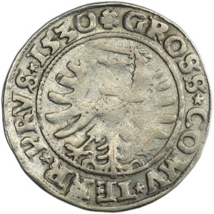 Sigismund I the Old, Groschen Thorn 1530 - PRVS/PRVS