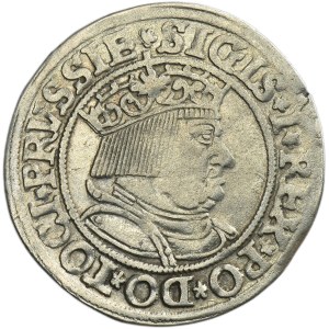 Zygmunt I Stary, Grosz Toruń 1534 - PRVSSIE/PRVSSIE