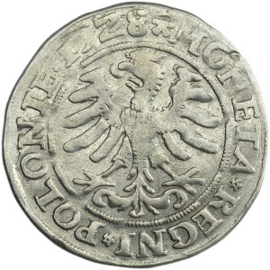 Sigismund I the Old, Groschen Krakau 1528