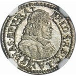 Silesia, Duchy of Neisse, Friedrich von Hessen, 1 Kreuzer Neisse 1681 LPH - NGC MS66