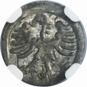 Alexander Jagiellon, Denarius Vilnius no date - NGC MS62