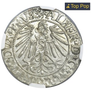 Duchy of Prussia, Albrecht Hohenzollern, Groschen Königsberg 1544 - PRVSS - NGC MS63