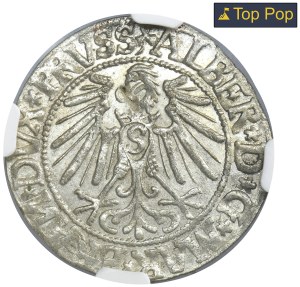 Prusse ducale, Albrecht Hohenzollern, Grosz Königsberg 1544 - PRVSS - NGC MS63