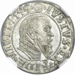 Duchy of Prussia, Albrecht Hohenzollern, Groschen Königsberg 1544 - PRVSS - NGC MS63