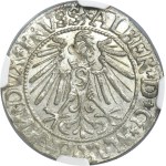 Duchy of Prussia, Albrecht Hohenzollern, Groschen Königsberg 1544 - PRVSS - NGC MS63