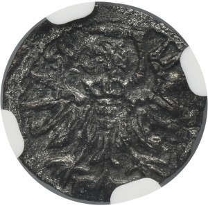 Zygmunt II August, Denar Gdańsk 1556 - NGC AU DETAILS