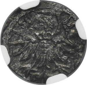 Sigismund II August, Danzig Denarius 1556 - NGC AU DETAILS