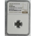 Zygmunt II August, Denar Gdańsk 1556 - NGC AU DETAILS