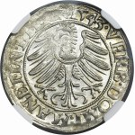 Silesia, Duchy of Liegnitz-Brieg-Wohlau, Friedrich II, Groschen Leignitz 1543 - NGC MS63
