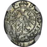 Silesia, City of Görlitz, 3 Kreuzer 1622 - NGC MS64 - VERY RARE