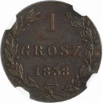 Kingdom of Poland, 1 groschen Warsaw 1838 MW - NGC MS64 BN - RARE