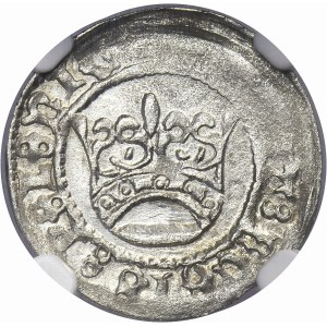 Alexander Jagiellon, 1/2 Groschen Krakau undated - NGC AU58