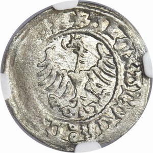 Alexander Jagiellon, 1/2 Groschen Krakau undated - NGC AU58