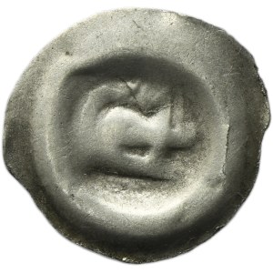 Śląsk, Księstwo Świdnicko-Jaworskie, Zygmunt Luksemburski, Albrecht lub Władysław Pogrobowiec, Halerz brakteatowy Świdnica 1414-1448 - łeb w prawo