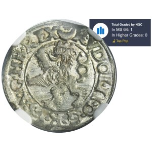 Bohemia, Rudolf II, Maley gross Joachimsthal 1596 - NGC MS64