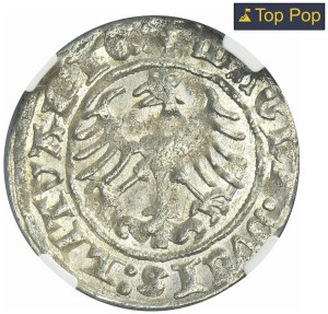 Sigismund I the Old, 1/2 Groschen Vilnius 1513 - NGC MS64