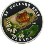 Canada, Elizabeth II, 20 Dollars Ottawa 2015 - Turtle