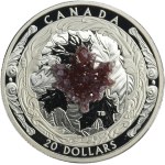 Canada, Elizabeth II, 20 Dollars Ottawa 2016 - Majestic Maple Leaves