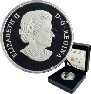 Canada, Elizabeth II, 20 Dollars Ottawa 2020 - Ladybug