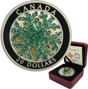 Canada, Elizabeth II, 20 Dollars Ottawa 2017 - Snowflake