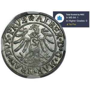 Duchy of Prussia, Albert Hohenzollern, Groschen Königsberg 1532 - PRVS - NGC MS64