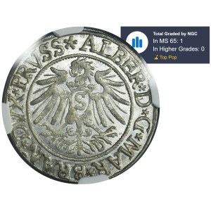 Ducal Prussia, Albrecht Hohenzollern, Groschen Königsberg 1537 - PRVSS - NGC MS65