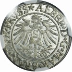 Ducal Prussia, Albrecht Hohenzollern, Groschen Königsberg 1537 - PRVSS - NGC MS65