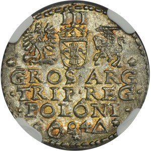 Sigismund III Vasa, 3 Groschen Marienburg 1594 - NGC MS61