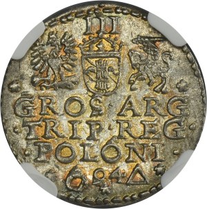 Sigismund III Vasa, 3 Groschen Marienburg 1594 - NGC MS61