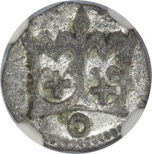 Casimir IV Jagiellon, Denarius Krakau undated - NGC MS63