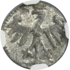 Casimir IV Jagiellon, Denarius Krakau undated - NGC MS63
