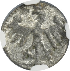 Casimir IV Jagiellon, Denarius Krakau undated - NGC MS63