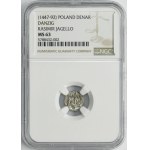 Casimir IV Jagiellon, Denarius Krakau undated - NGC MS63